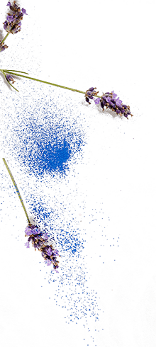 Senza titolo-10 Senza titolo-10