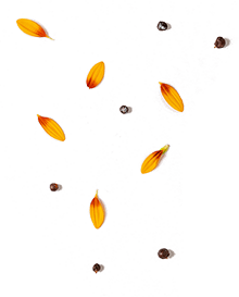 Senza titolo-13B Senza titolo-13B