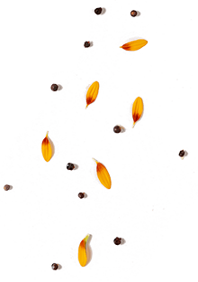 Senza titolo-14 Senza titolo-14