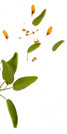 Senza titolo-3 Senza titolo-3