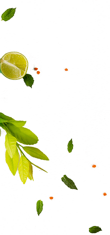 Senza titolo-5-1 Senza titolo-5-1